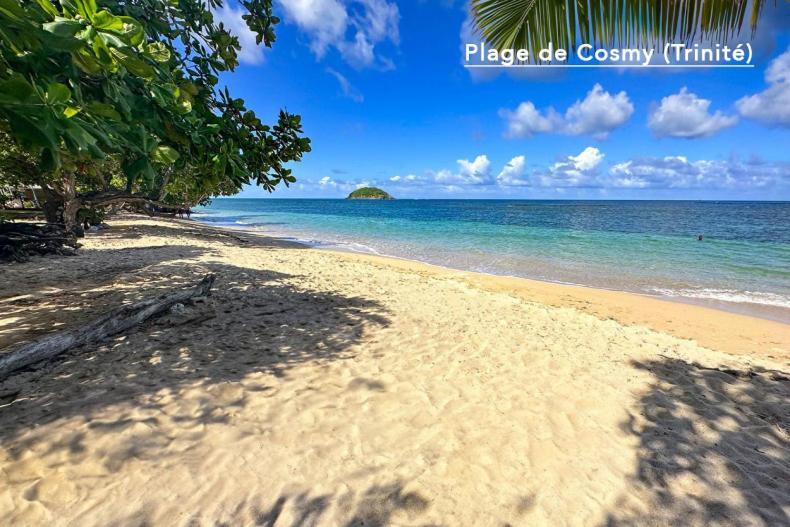 F3 Hibiscus - Piscine Chauffee - Vue Mer - 9 Min De La Plage - Ti Zwezo Paradi La Trinité Eksteriør billede