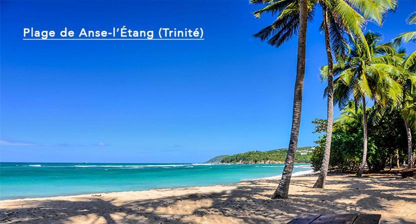 F3 Hibiscus - Piscine Chauffee - Vue Mer - 9 Min De La Plage - Ti Zwezo Paradi La Trinité Eksteriør billede
