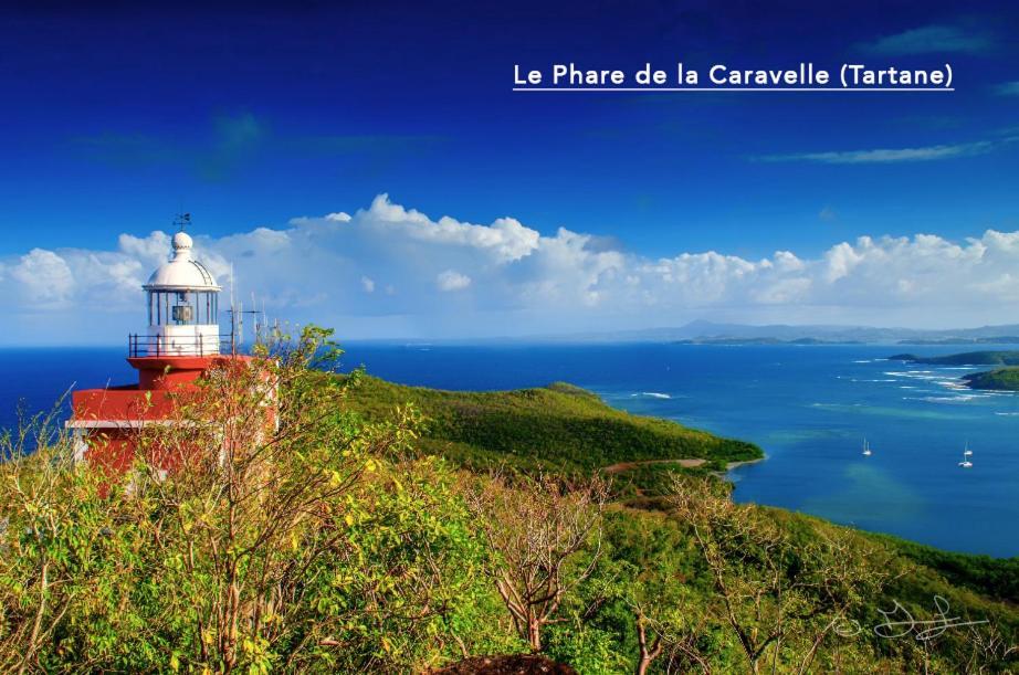 F3 Hibiscus - Piscine Chauffee - Vue Mer - 9 Min De La Plage - Ti Zwezo Paradi La Trinité Eksteriør billede