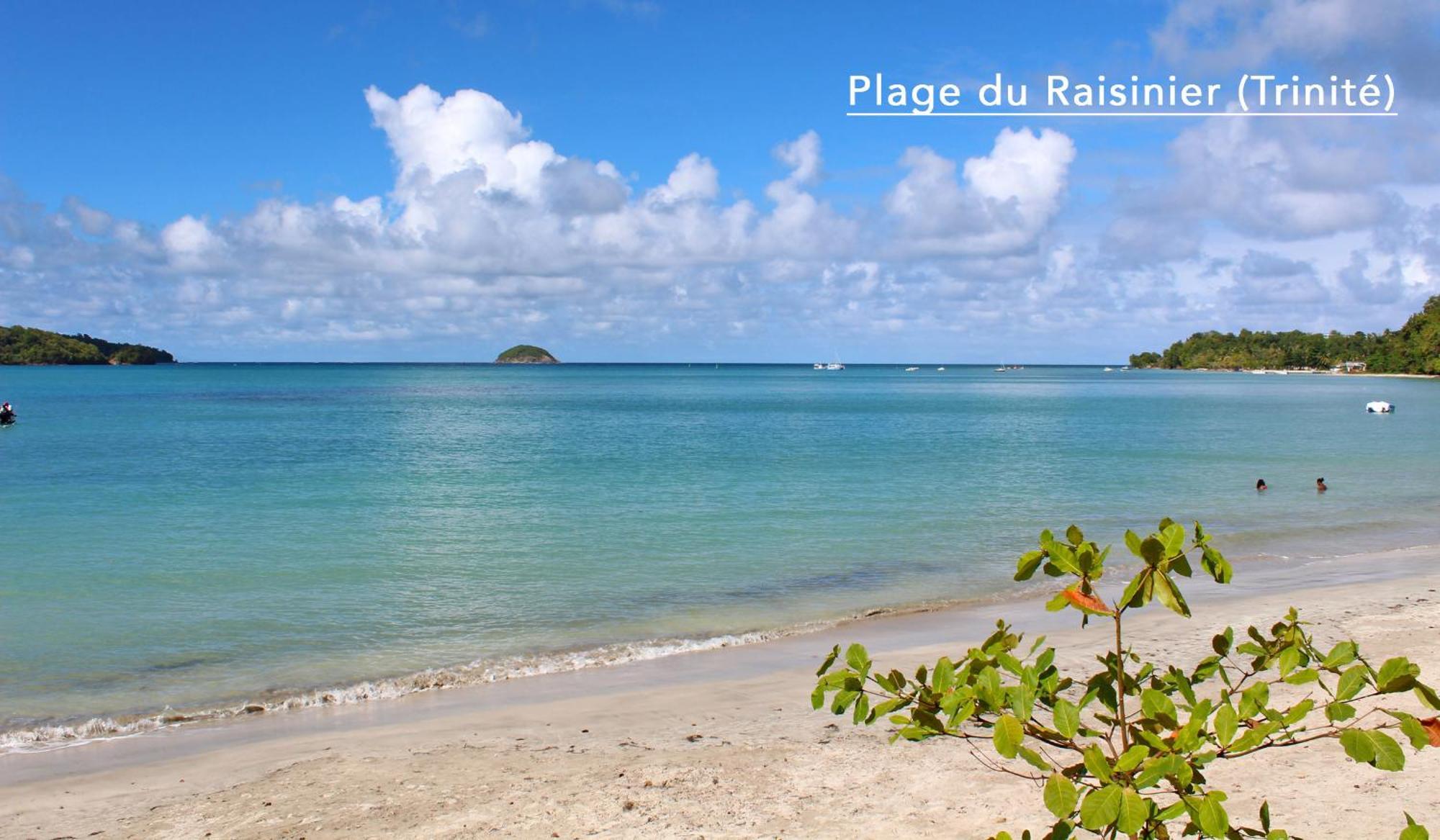 F3 Hibiscus - Piscine Chauffee - Vue Mer - 9 Min De La Plage - Ti Zwezo Paradi La Trinité Eksteriør billede